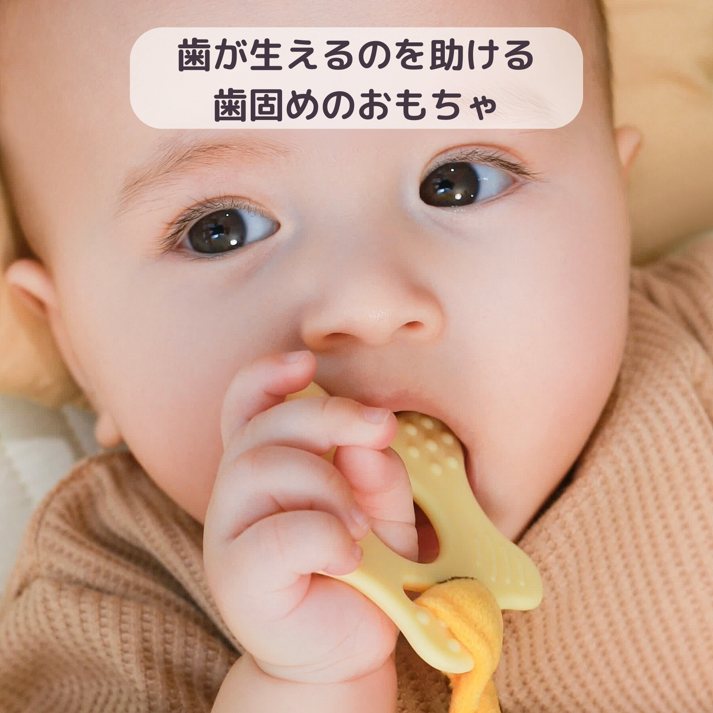 3種のキリン ラトルセット