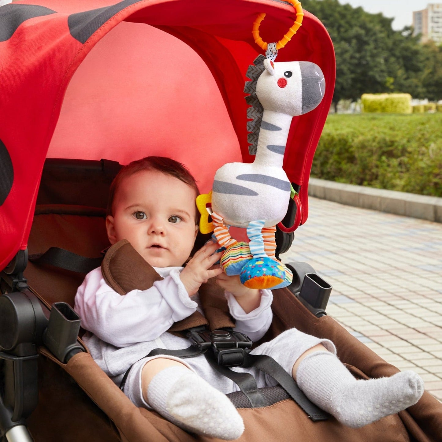 シマウマのラトル